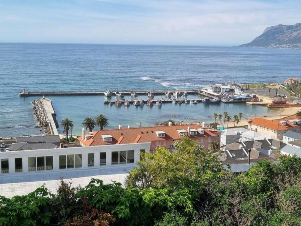 The Dragon Tree Guesthouse Kalk Bay Exteriér fotografie