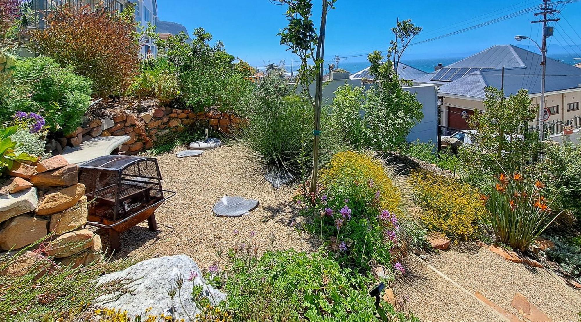 The Dragon Tree Guesthouse Kalk Bay Exteriér fotografie