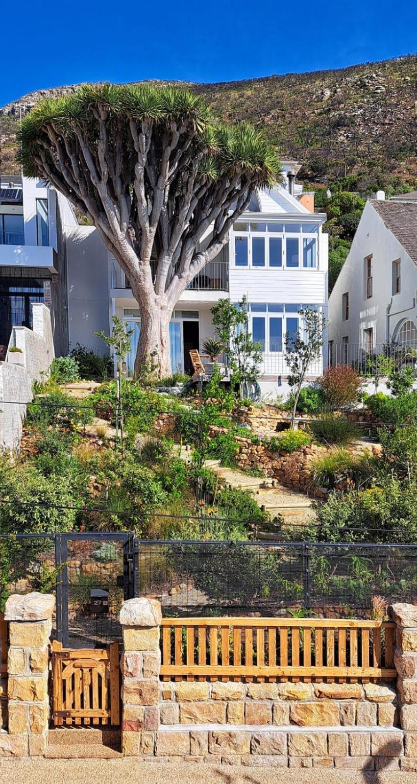 The Dragon Tree Guesthouse Kalk Bay Exteriér fotografie